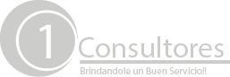 1 Consultores